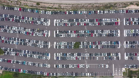Large-aerial-top-down-view-over-a-parking-lot-full-of-cars-with-a-tree
